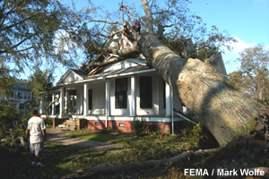 Image illustrates damage from high hurricane winds