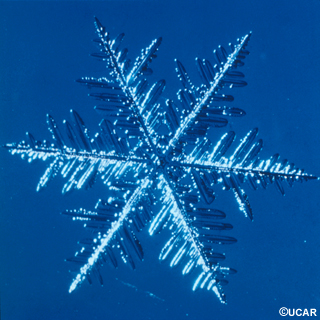 Magnified image of a snowflake