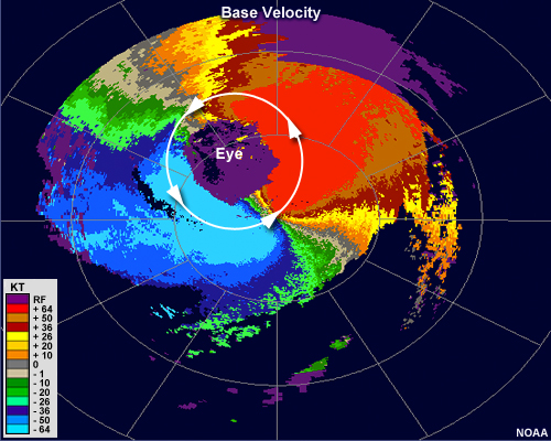 Radial velocity loop showing hurricane Wilma making landfall in 2005.  The eye, which is free of echo, is large and pronounced.  