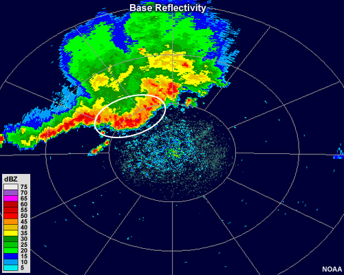 Radar reflectivity showing a pronounced bow echo within an MCS