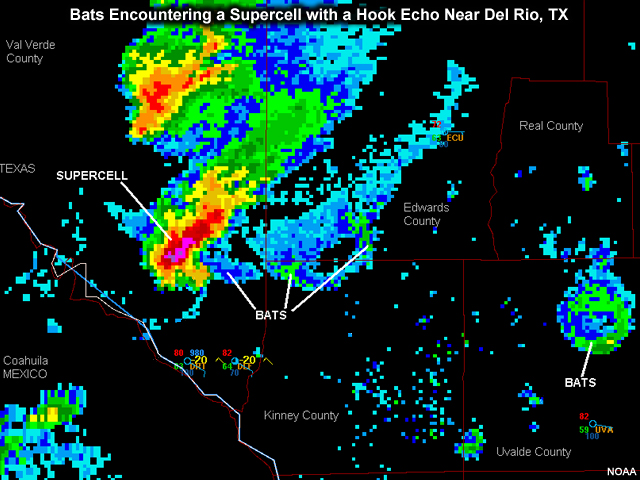 Radar image showing bats encountering a supercell with a hook echo near Del Rio, TX