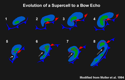 conceptual chart of stages of the evolution of a supercell to a bow echo