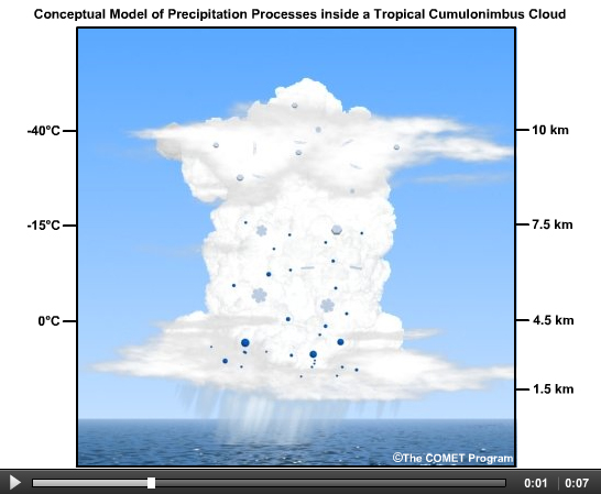 Conceptual animation of the precipitation processes inside a tropical cumulonimbus cloud