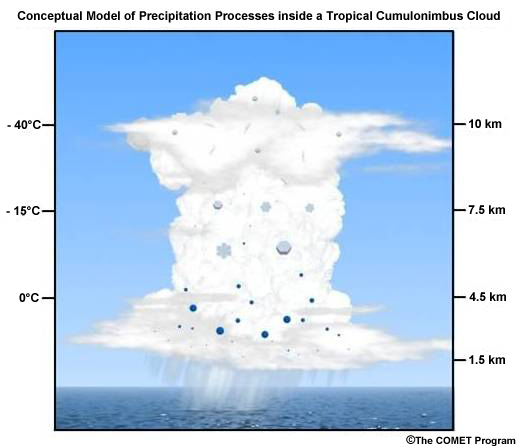 Conceptual model of the precipitation processes inside a tropical cumulonimbus cloud