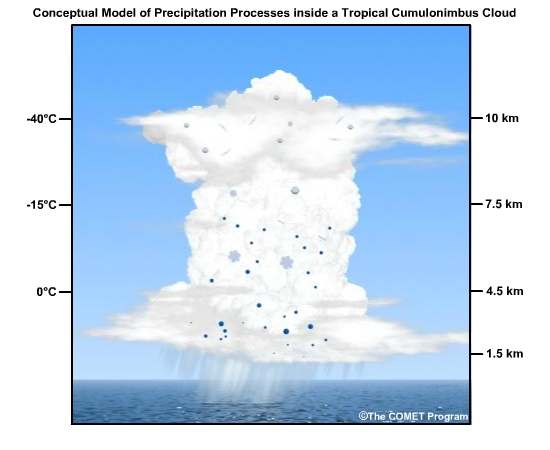 Conceptual animation of the precipitation processes inside a tropical cumulonimbus cloud